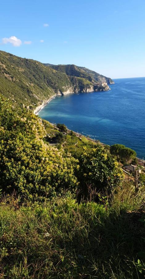 Appartamento Giumin Corniglia Bagian luar foto
